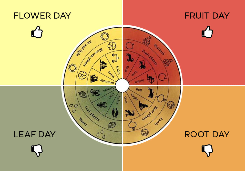 Biodynamic Calendar Series (Part 2) @ Vine St. Thursday, February 13th