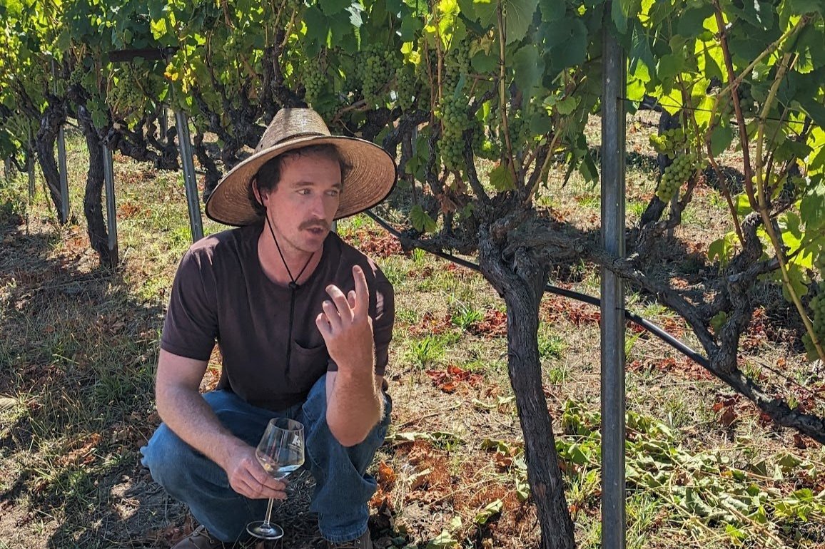 Alfaro Tasting with Ryan Alfaro @ Vine October 27