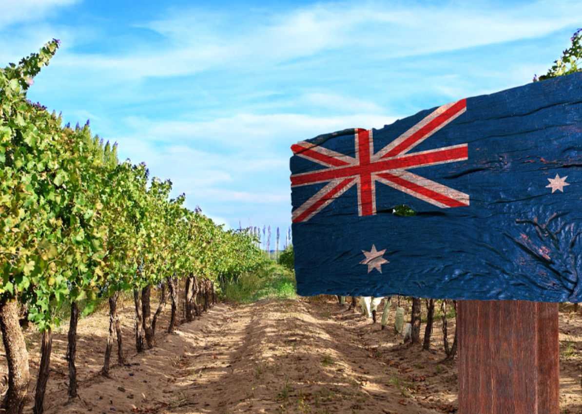 Anywhere But Burgundy, vol. 1: Australia @ Solano Cellars March 15th