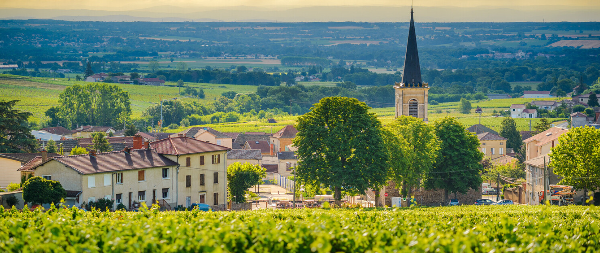 Beaujolais: Blanc to Noir @ College Ave. Saturday July 20th