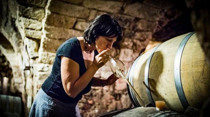 Hungarian Women Winemakers @ Solano Cellars Friday, September 20th