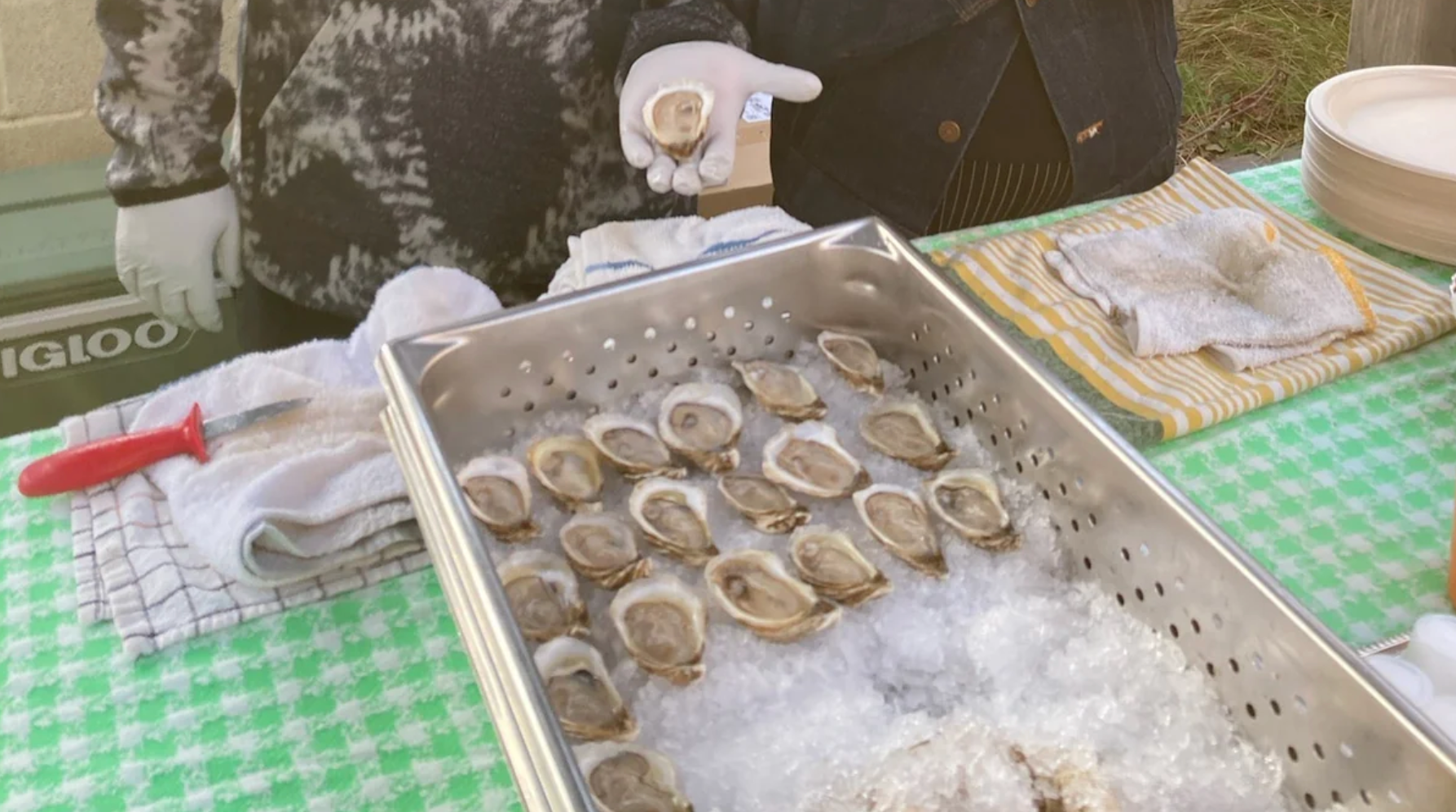 Lo-Fi Oysters & Wine @ Vine St. Saturday, February 8th