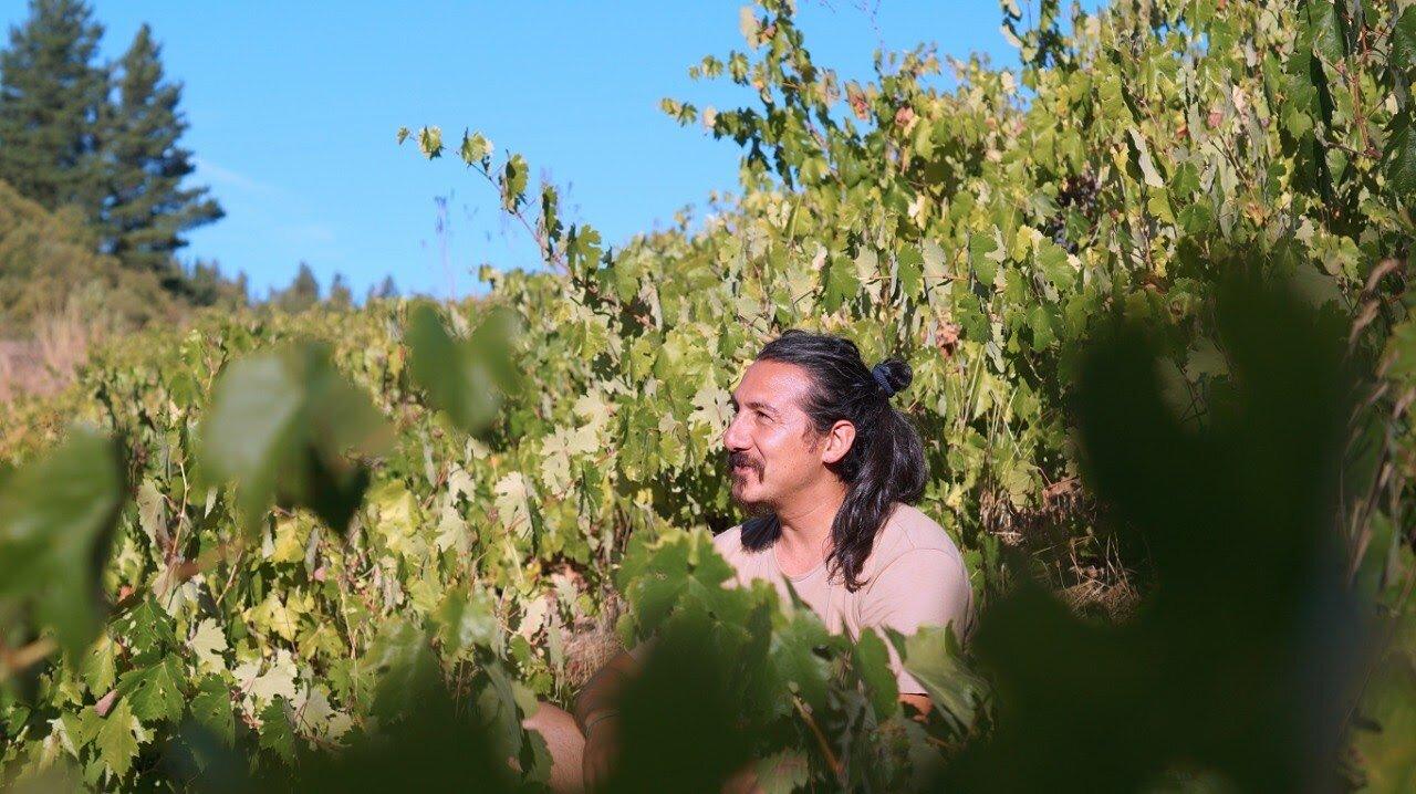 Roberto Henriquez Winemaker Tasting @ Vine October 26th - Vintage Berkeley 