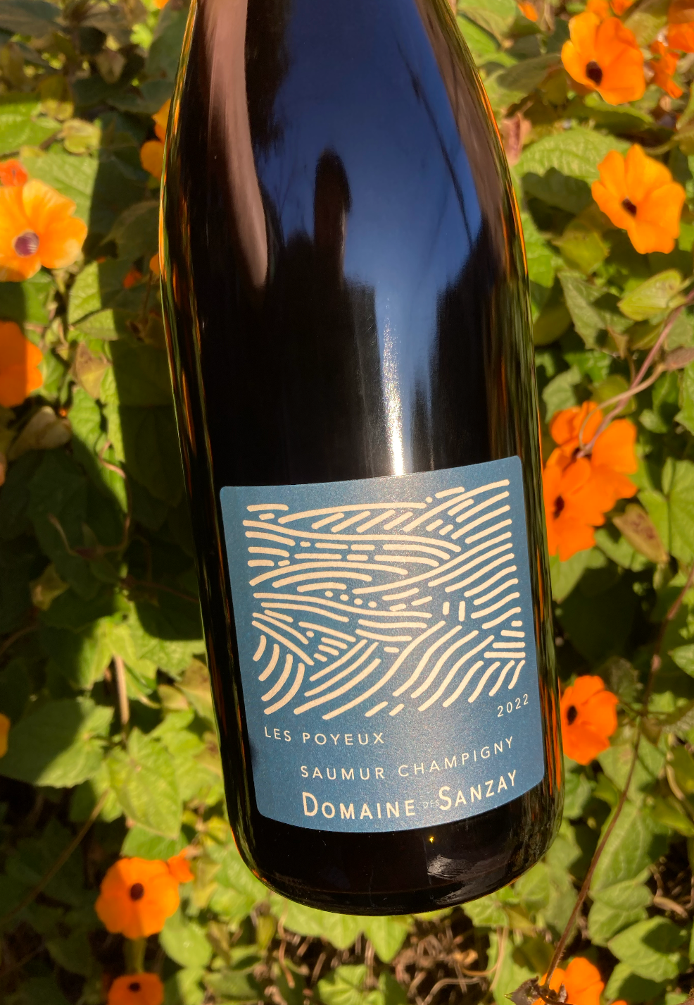 2022 Domaine des Sanzay 'Les Poyeux' Cabernet Franc